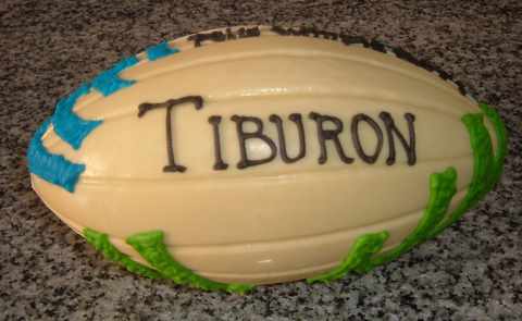 Pelota de Rugby